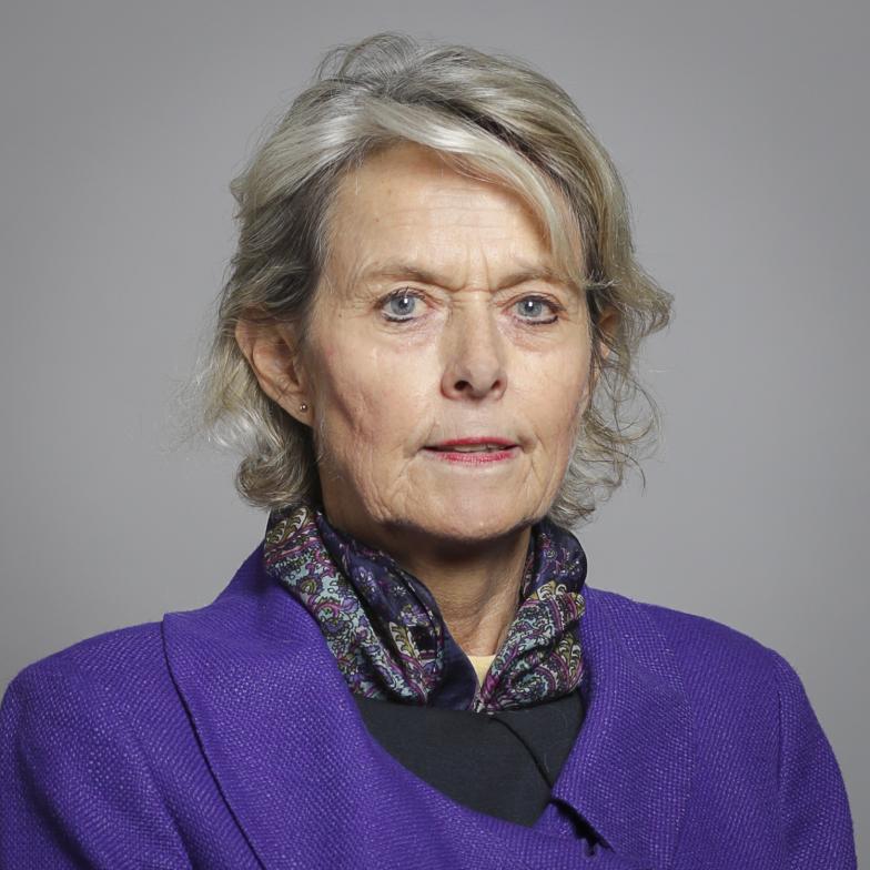 Baroness McIntosh Official Portrait
